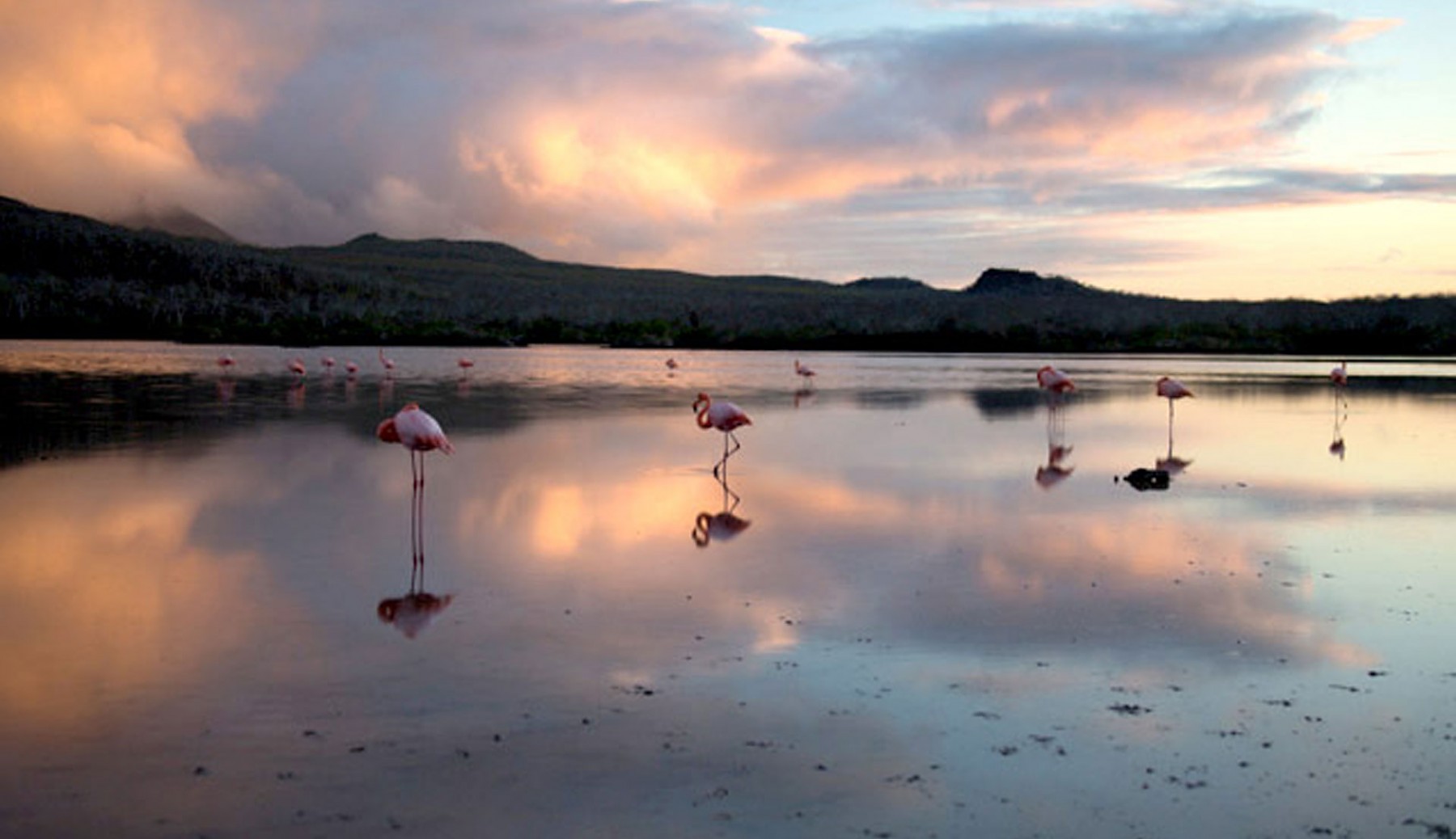 Silversea Expeditions Галапагосские острова