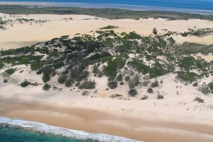 День 8. Отдых на берегу Индийского океана.