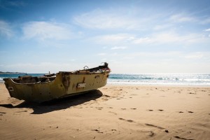 День 10. Отдых на берегу Индийского океана. Лицензия Pixabay License, автор HansenHimself