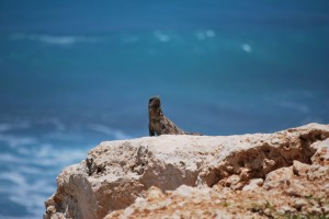 День 7. Свободное время, отдых. Лицензия CC0 Creative Commons, автор caevans100 