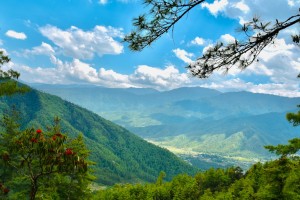 День 10. Отправление из Паро. Photo by Darshan Chudasama on Unsplash