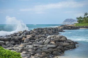 День 13. Гонолулу: отдых на океане. Лицензия CC0 Creative Commons, автор Mariamichelle