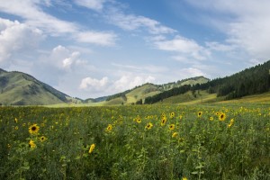 День 8. Белокуриха: свободное время, пантолечение (за дополнительную плату). Фото Nikolay Tengerekov https://unsplash.com/