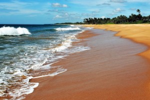 День 8. Отдых на море. Лицензия Pixabay License, автор pasja1000