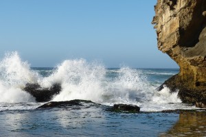 День 7. Дорога садов. Лицензия CC0 Creative Commons, автор falco