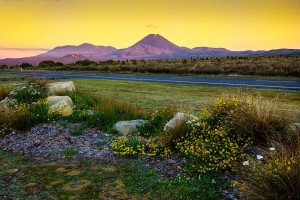День 5. Прогулка в Долине вулканов в национальном парке Тонгариро и столица страны Веллингтон / 340 км. Лицензия CC0 Creative Commons, автор holgerheinze0