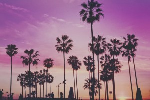 День 10. Лос-Анджелес. Лицензия CC0 Creative Commons, автор PublicCo